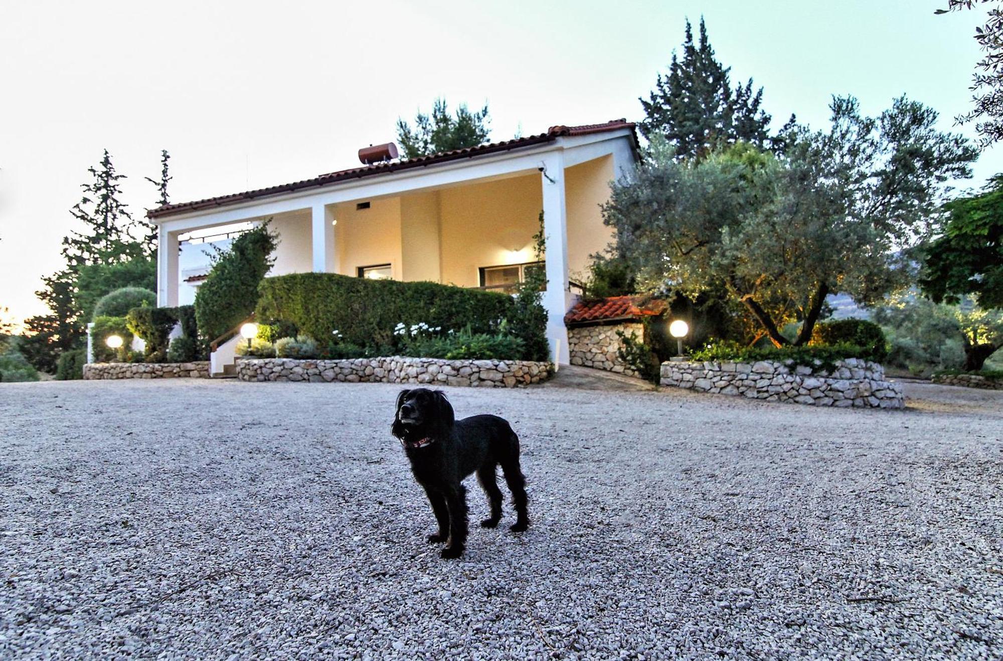 Villa Korina Metochi  Екстер'єр фото